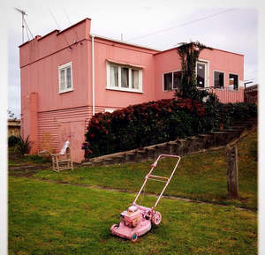 Photograph: The Pink Palace