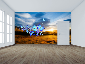 wall