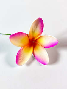 Island Sei Foam Flowers: VANIAH SEI