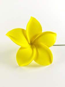 Island Sei Hair Clips: ISLAND PUA SEI