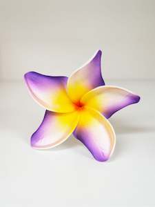 Island Sei Hair Clips: SPILIA PUA SEI