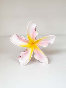 Island Sei Hair Clips: LE PUA SEI