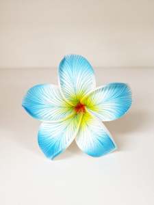 Island Sei Hair Clips: NIU PALAMA SEI