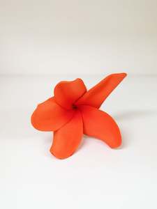 Panikeke Accessories: NIU HILA SEI