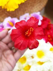 Island Sei Hair Clips: ROMALASI SEI