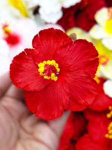 Island Sei Hair Clips: KAILANI SEI