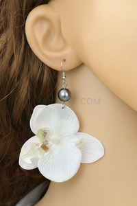 New Panikeke Arrivals 1: AMARYLLIS FLOWER DROP