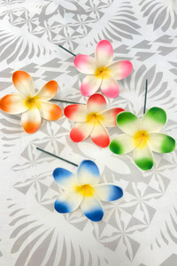 PANIKEKE PLUMERIA SEI