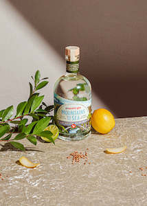Our Gins: Mountains to Sea Gin 700ml