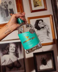 Our Gins: Orchard Gin 700ml