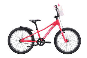 Kids 20 Wheel: 2025 SILVERBACK SKID 20" GIRL