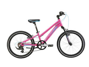 Kids 20 Wheel Geared: 2024 MATTS J20