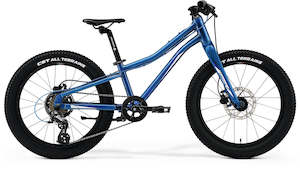 Kids 20 Wheel Geared: 2022 MERIDA MATTS J20+ DISC