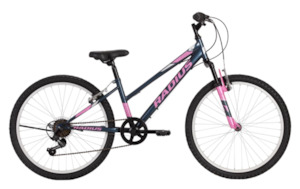 Radius 1: LYNX 24 6SP