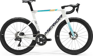 Road Bikes: 2026 REACTO TEAM
