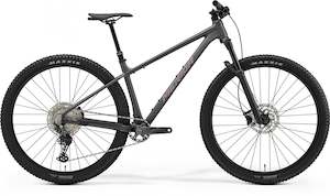 2026 BIG NINE TR 700