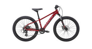 2026 BAYVIEW TRAIL 24"