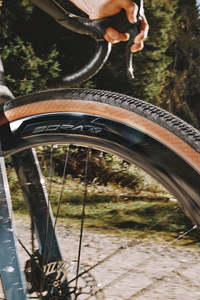 Wheels: Campagnolo Bora X Gravel wheelset