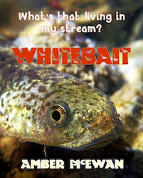 What's that living in my Stream? Whitebait by Amber McEwan