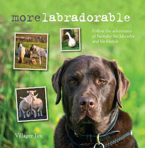 Non-fiction Health and Inspirational: More Labradorable