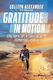 Gratitude In Motion. True Story of Hope, Determination,  and the everyday heroes&hellip;