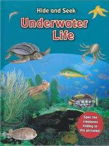 Fiction Children Activity: Hide and Seek: Underwater Life