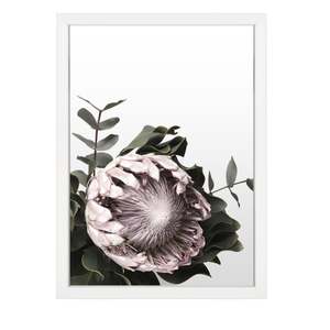 Sale: PROTEA PRINT