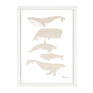 Sale: WHALES PRINT