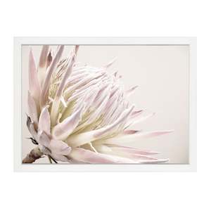 ISLA PROTEA PRINT