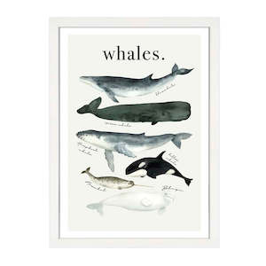 Gifts For Kids: WATERCOLOUR WHALES PRINT