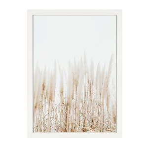 Sale: PAMPAS PRINT