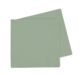 LUNCH Napkin EUCALYPTUS 40Pk #FS6072EUP