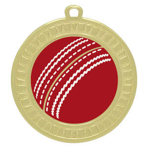 Business: Cricket Spark