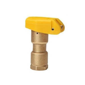 Other Special Valves: 25mm Brass Quick Coupling Valve