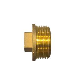 Pipe Fittings: Brass Plug 25mm