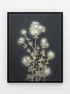 Briana Jamieson: Starlight