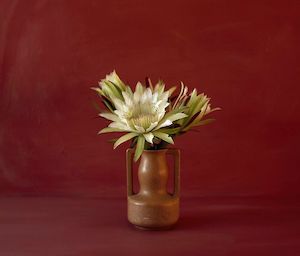 Billie Culy: Twenty-four Hours