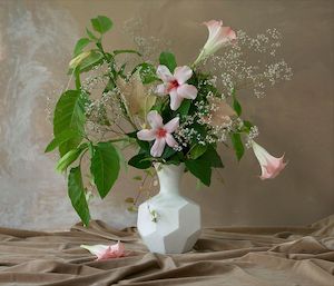 Billie Culy: Hibiscus