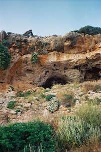 Blue Is Infinite: Three Freesias