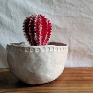 Products: Ceramics: Handbuilding Clay Course at Parnell Community Centre - the village square trust