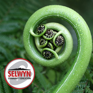 Te Reo Māori Introduction 3 Selwyn College at Parnell Community Centre - the vi&hellip;
