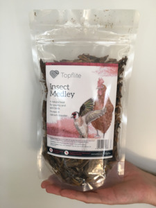 Wild Birds: Insect Medley