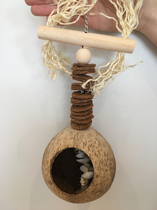 Coconut Treasure Hunt