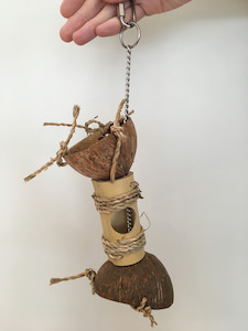 Coconut Bamboo Explorer