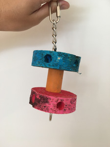 Large Bird Toys: Foraging Rainbow