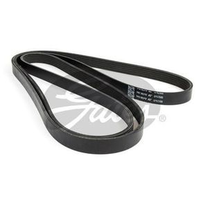 6PK2500 GATES DRIVE BELT