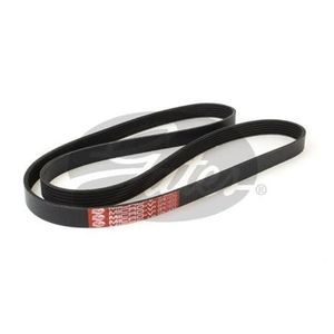 Drive Belts: 6PK1670 GATES DRIVE BELT
