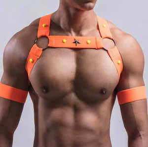New Arrivals: CLUB KID HARNESS