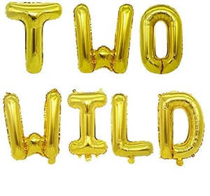 Two Wild Gold Balloon Banner