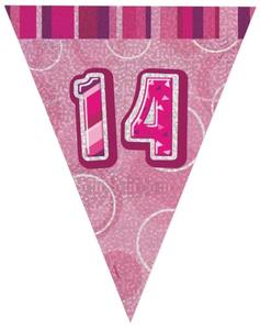 Glitz Birthday 14th Bunting Pink Silver